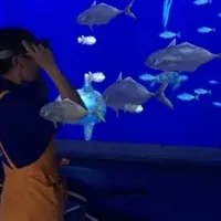 伊方町の水族館