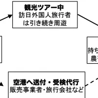 訪日外国人おみやげ