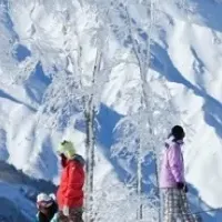 白馬岩岳スノーフィールド