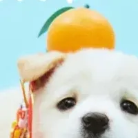 戌年を祝い犬を救おう