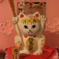 合格を応援する猫