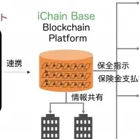 iBeedが資金調達