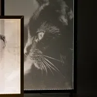 光るアート照明