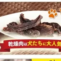 「SIKARON」で愛犬健康