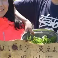 お台場Organicフェス