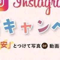 安安のInstagramキャンペーン