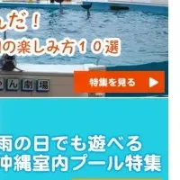 沖縄情報サイトの行く末