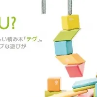 磁石入り積み木「tegu」