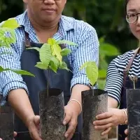 タイと日本のカカオ提携