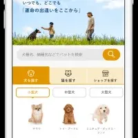 新サービス誕生