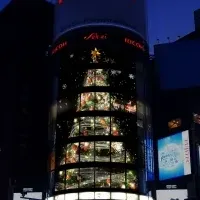 銀座のクリスマスツリー