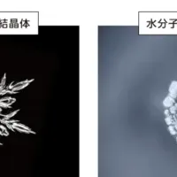 鮮度保持技術の活用