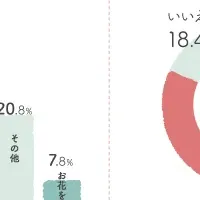 インスタ映え雛人形