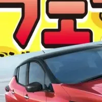 春フェス2019の新提案