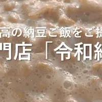 一生分の納豆ご飯