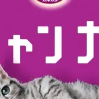 育ニャンナビで子猫育て