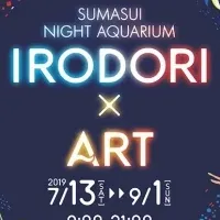 スマスイ夏の夜