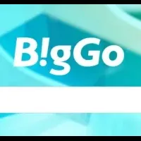 「BigGo」の日本進出