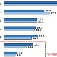 有料動画配信の現状