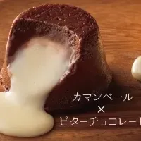 チーズ×チョコスイーツ