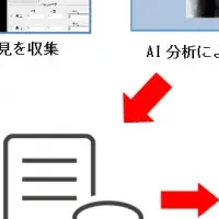 AIで迅速化する身元確認