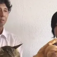 猫との旅の魅力