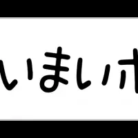 秋の京都を満喫