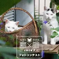 庭×猫フォトコンテスト