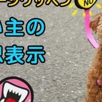 犬用メッセージワッペン