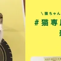 猫の交通安全運動