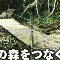 「みどり橋」安全化計画