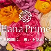 HanaPrimeリニューアル