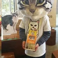 猫好き教室再開