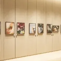 ロロ・ピアーナ展