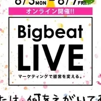 Bigbeat LIVE 概要