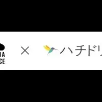 美ら地球の新たな挑戦