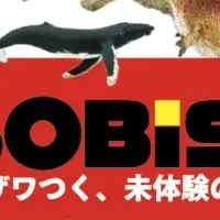 ASOBISKIの新挑戦