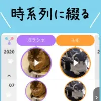 『うちのクロ』の魅力