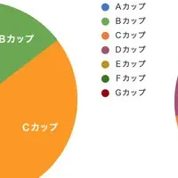 理想のバストサイズ調査