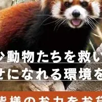 動物保護活動始動