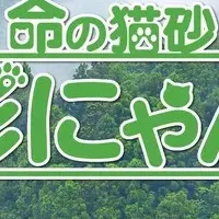 無添加の猫砂「杉にゃん」