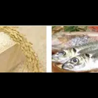 食のイメージ調査