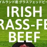 アイルランドビーフの魅力