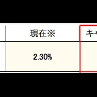 ライブスター証券が金利引き下げ