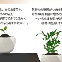 「はなおり」の魅力