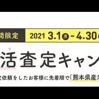 春の査定キャンペーン