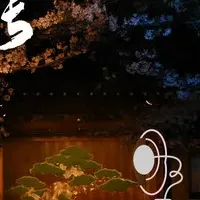 靖国神社の夜桜能