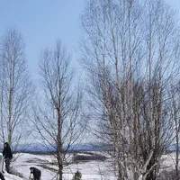 「雪中貯蔵酒」の魅力