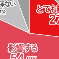 眉毛ケアが印象を変える