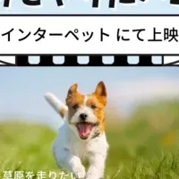 愛犬と出かける計画